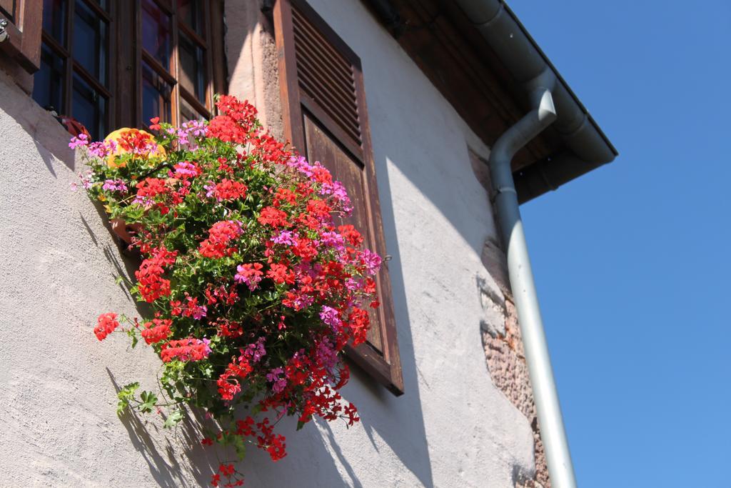 S'Harzala Rouge Apartment Bergheim Exterior photo